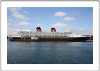 DISNEY MAGIC         9126807  